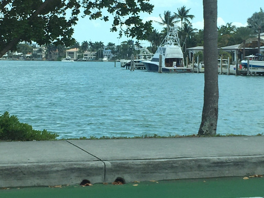 Venetian Causeway-迈阿密必去景点