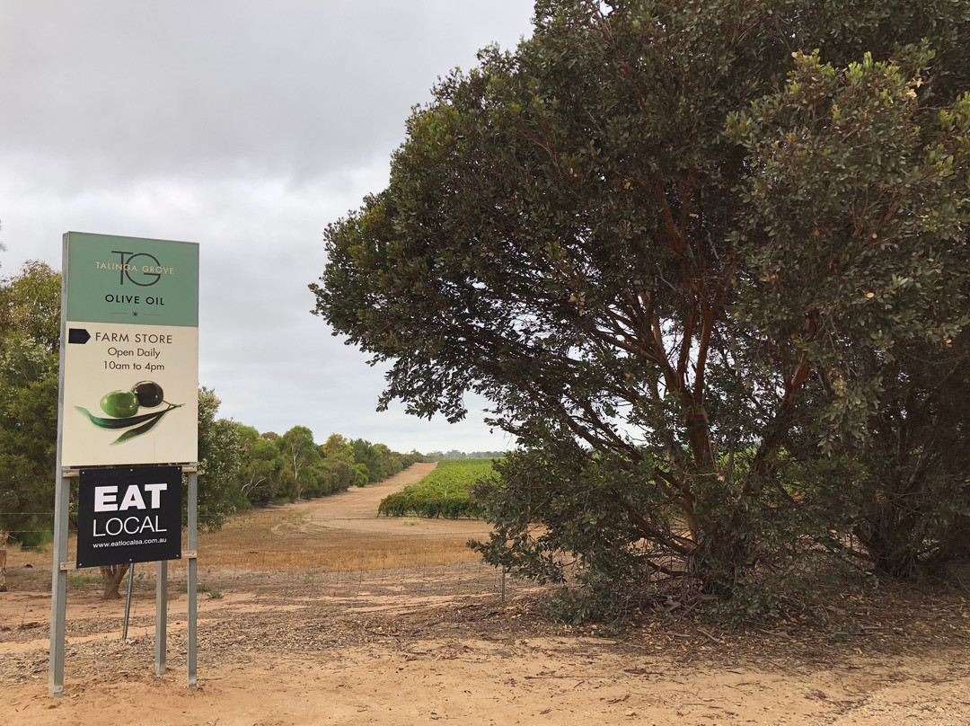 2023年12月Willyaroo旅游景点攻略Willyaroo旅游住宿,Willyaroo旅游美食猫途鹰