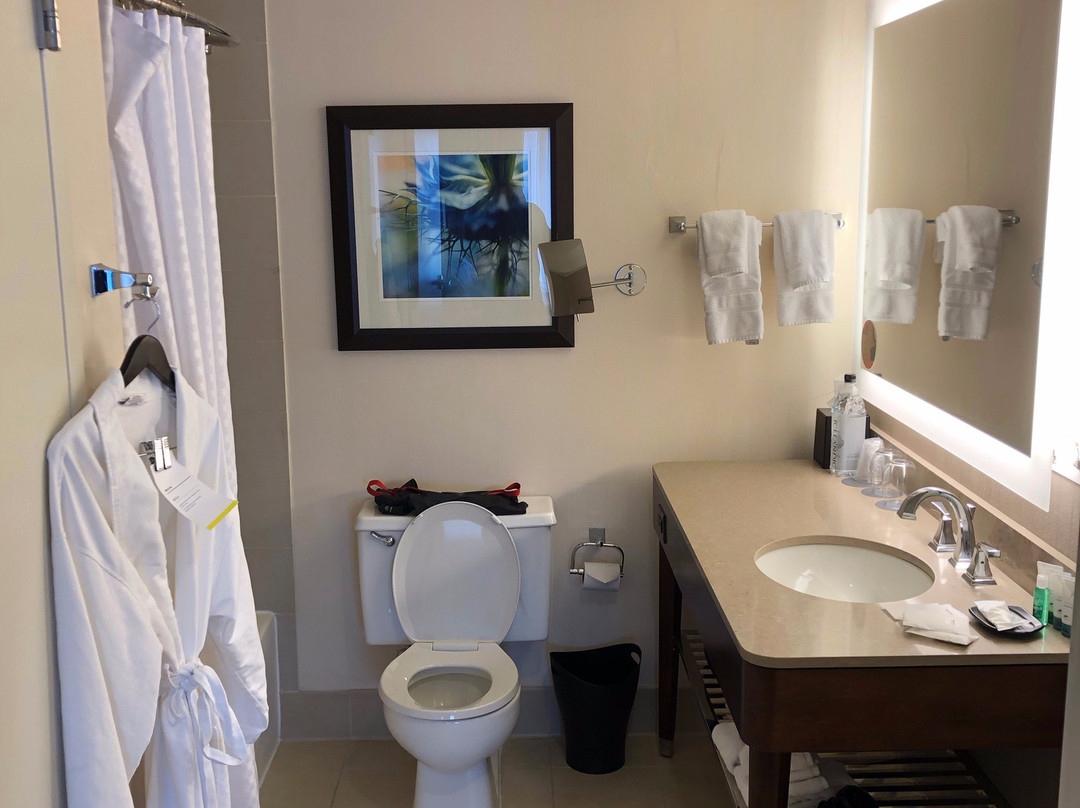 印第安纳波利斯威斯汀酒店主图