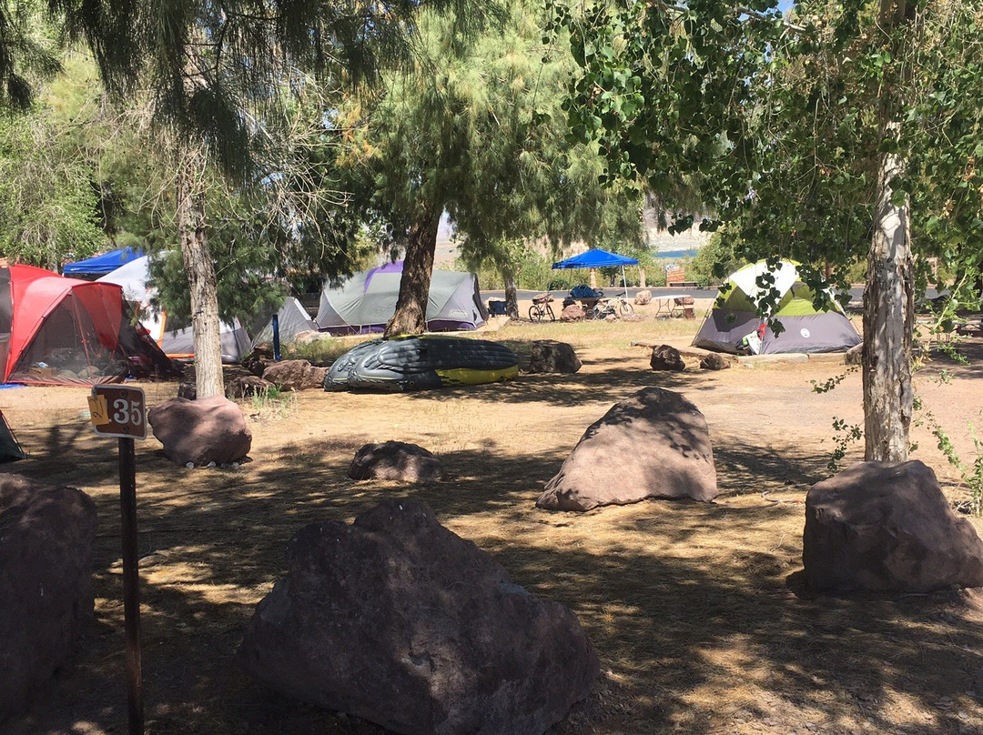 Boulder Beach Campground (Lake Mead National Recreation Area)-博尔德城必去景点