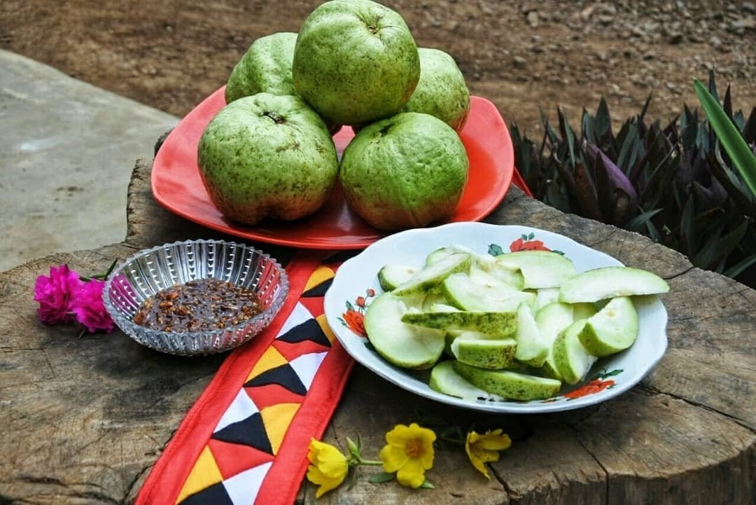 Tanggamus旅游景点-Jambu Kristal Kedora