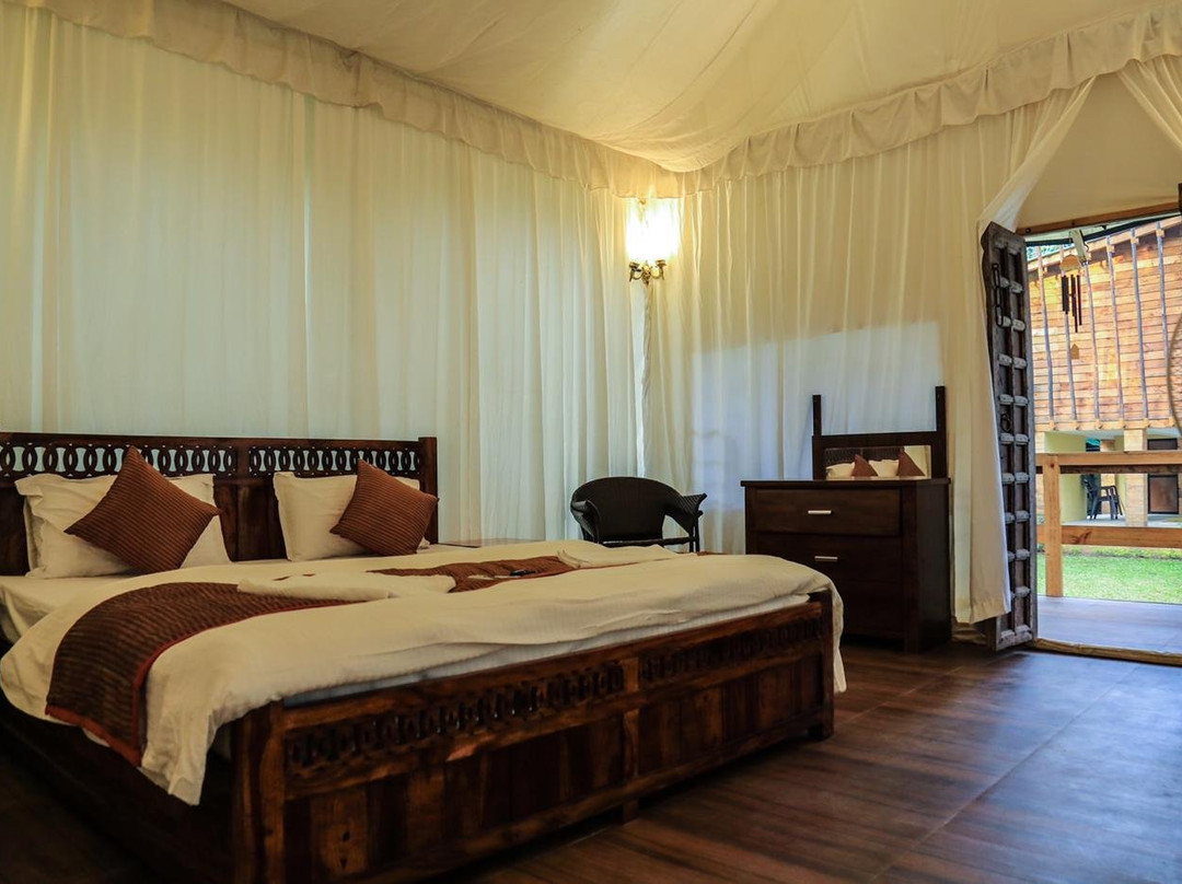 Coconut Beach Farm主图