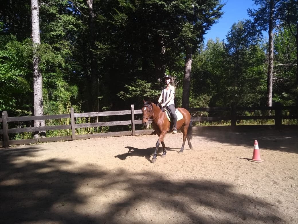 Centro Ecuestre San Pedro-Curarrehue必去景点