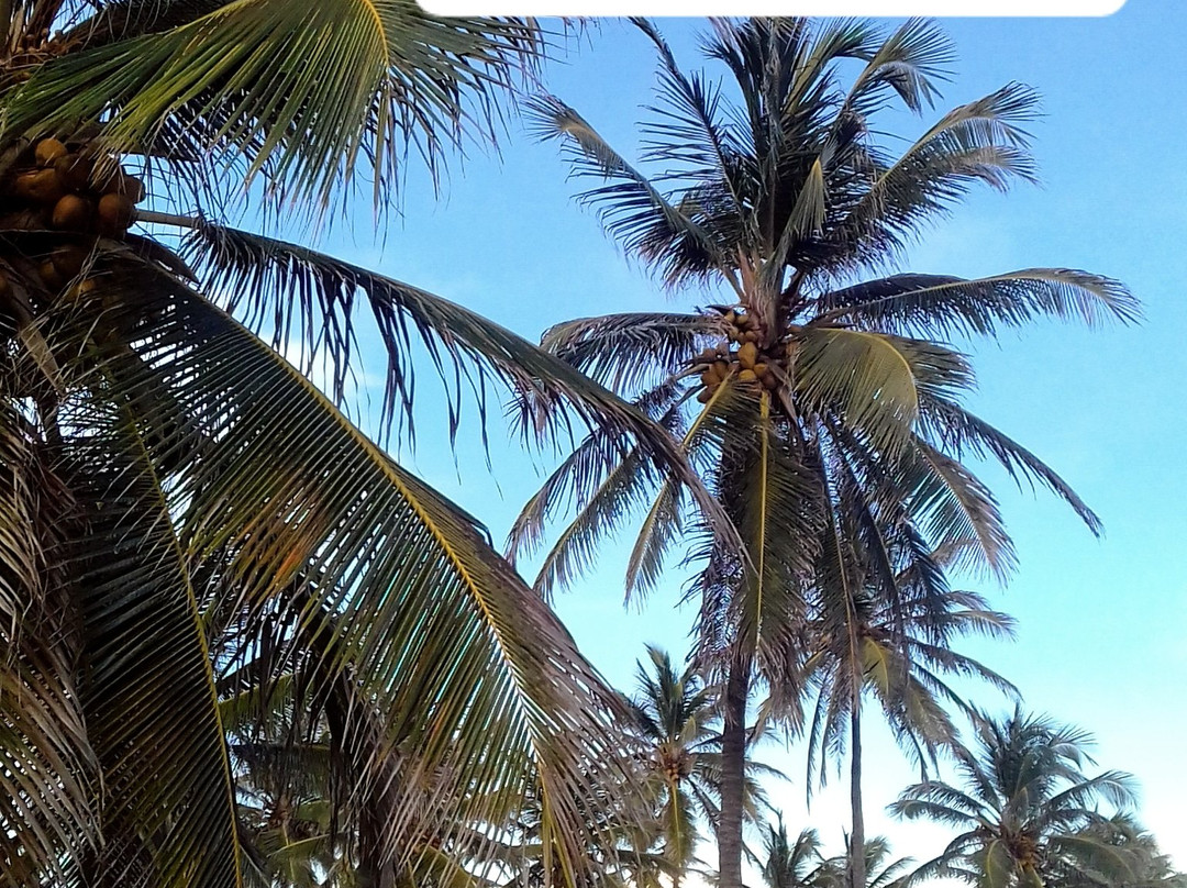 Canto Verde Beach-Beberibe必去景点
