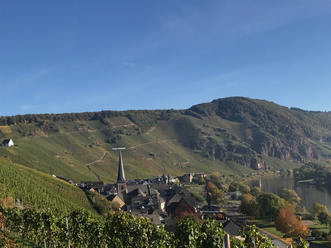 Weingut Gaestehaus Derkum主图