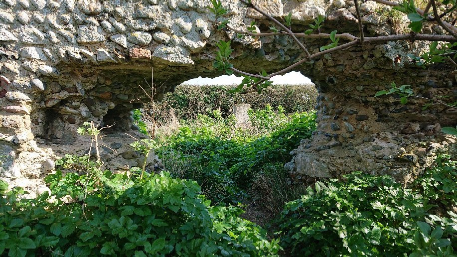 The Church of Saint Andrew Covehithe-Suffolk必去景点