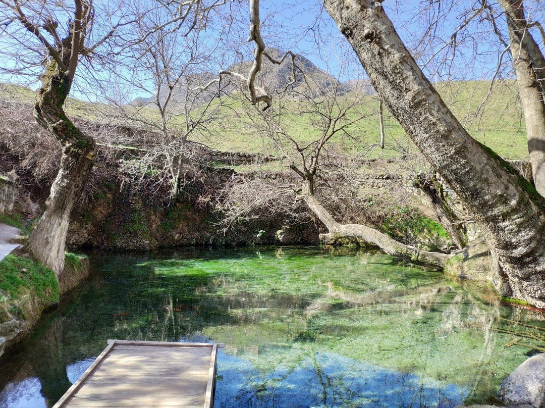 Chor-Chinor Garden-Urgut必去景点