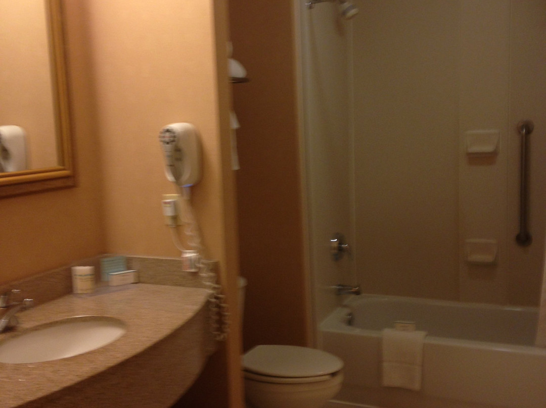 巴尔的摩内港希尔顿恒庭旅馆&套房酒店主图