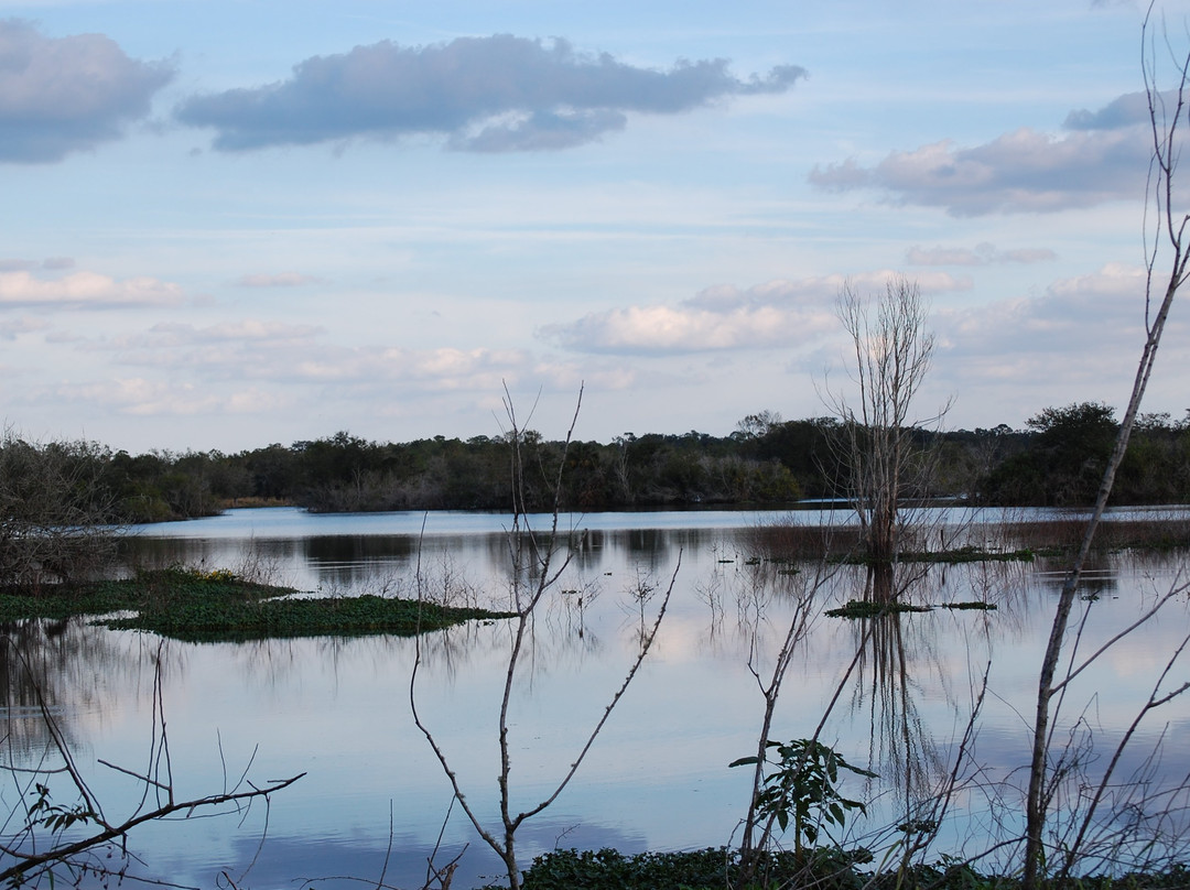 Marshall Hampton Reserve-温特黑文必去景点