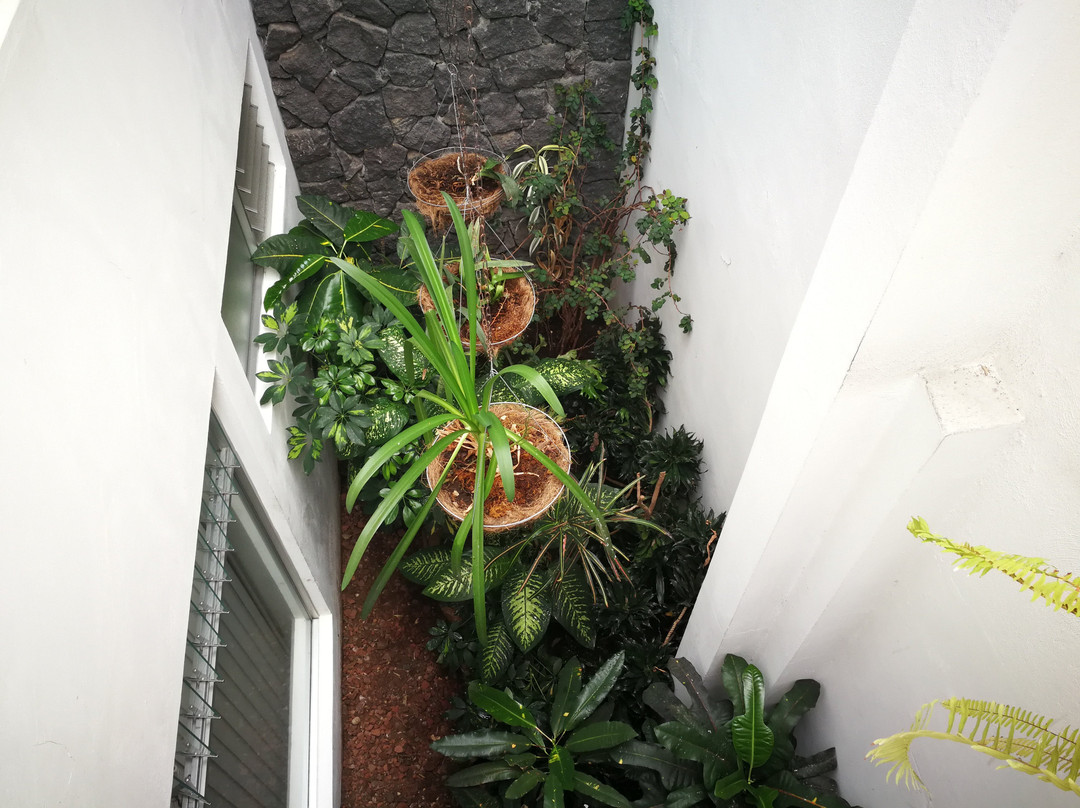 Hotel Hojarascas主图