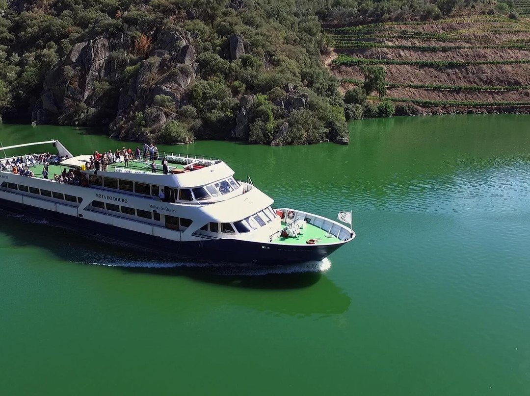 Douro Criativo景点图片