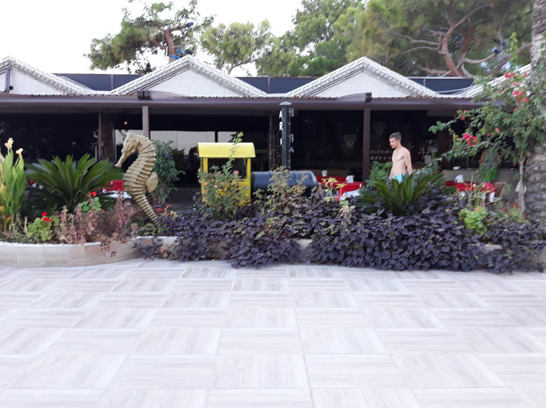 Club Hotel Belpinar主图