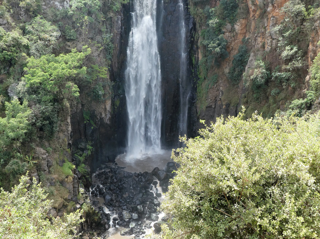Thomson's Falls-阿伯德尔国家公园必去景点