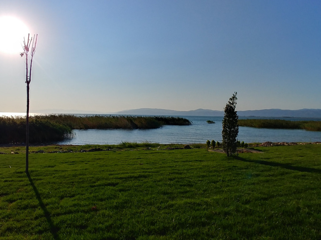Hotel Zeytin Bahcesi主图
