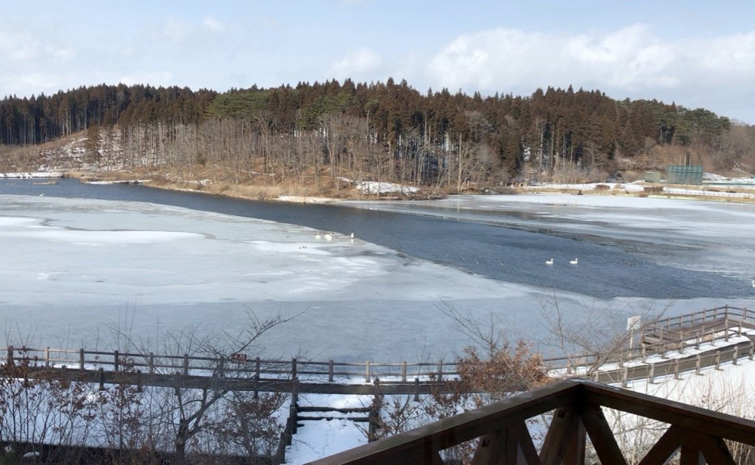 Oirase Town Nature Center Swan House景点图片