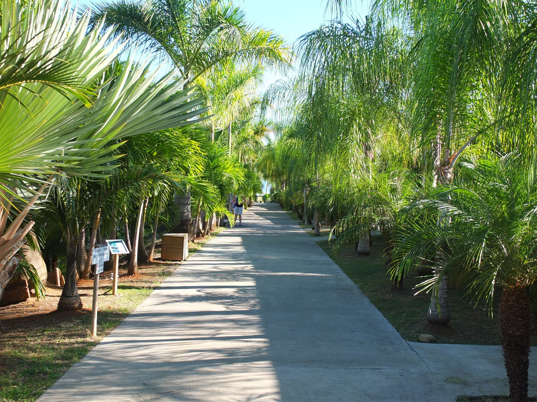 Le Village de la Pointe主图