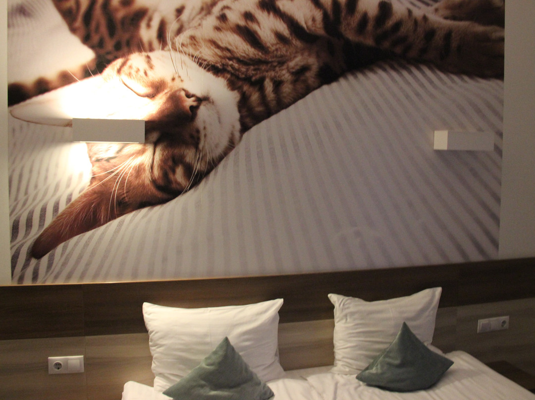 Algiro Hotel主图