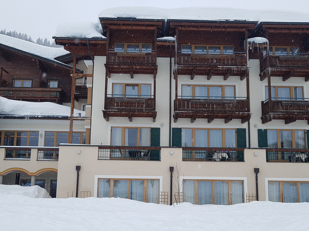 Hotel Koneigsleiten Vital-alpin主图