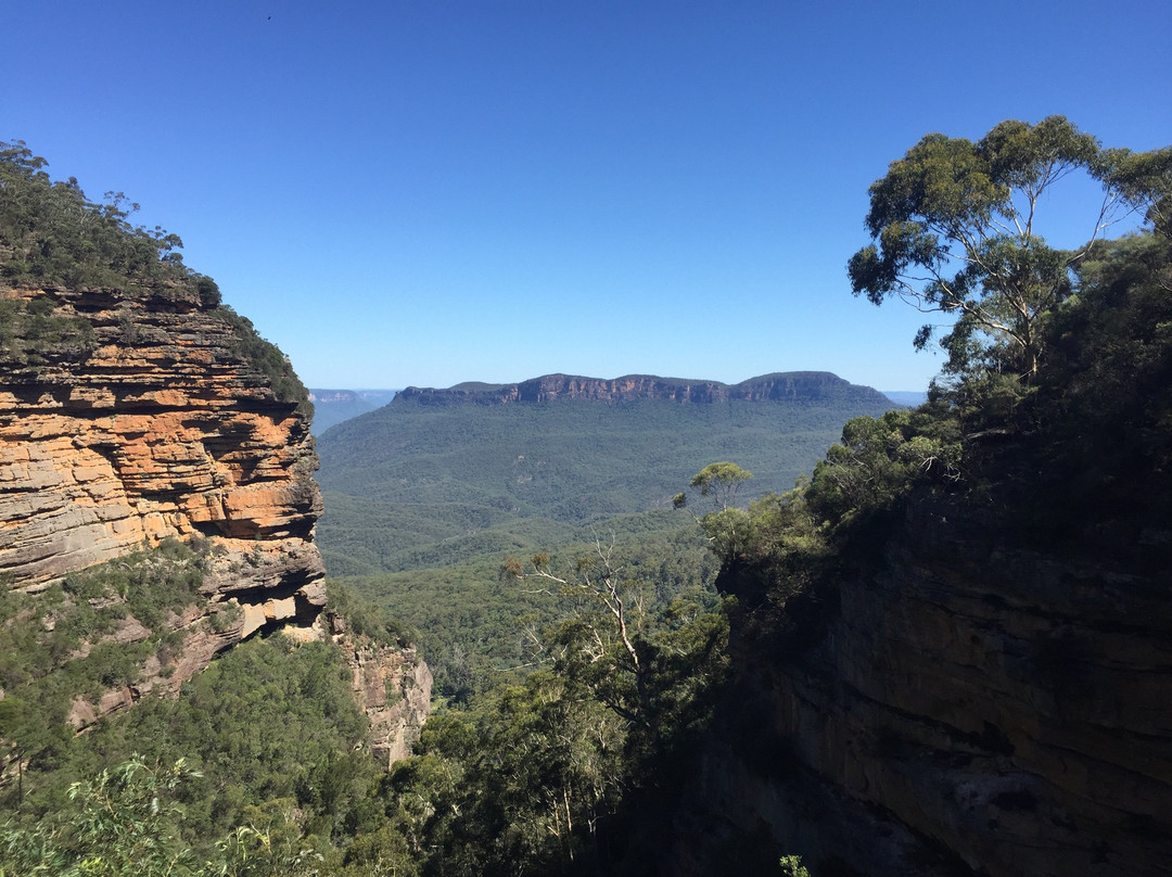 Blue Mountains Visitor Information-卡通巴必去景点