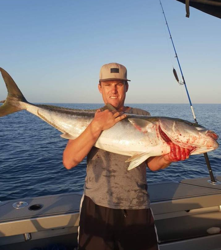 豪拉基湾-奥克兰中心地区必去景点