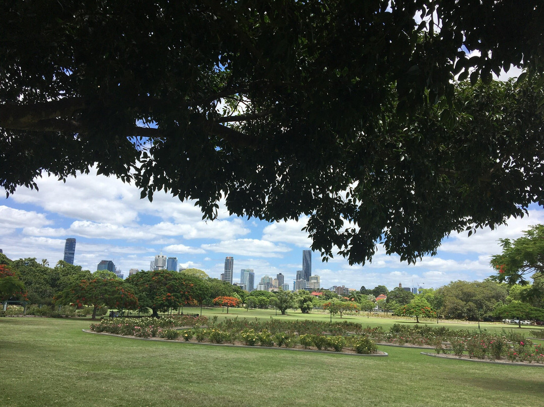 New Farm River Walk-布里斯班必去景点