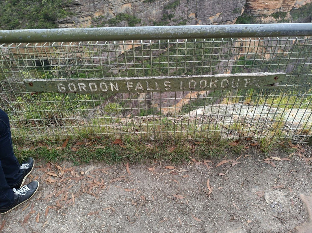 Gordon Falls Lookout景点图片