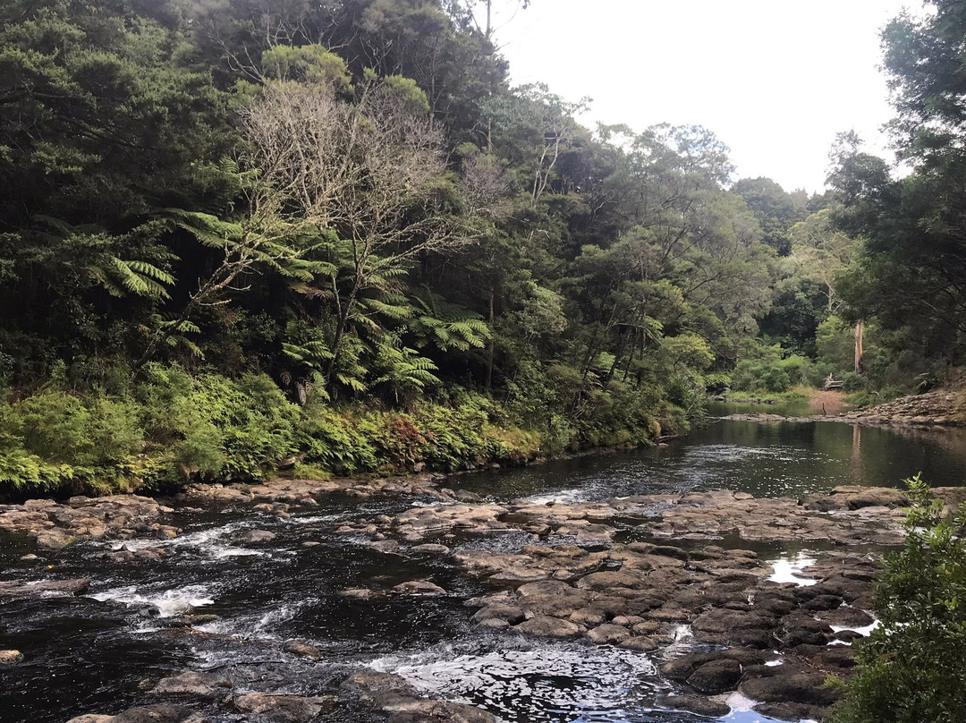 Woodlands Motel & Conference Venue主图