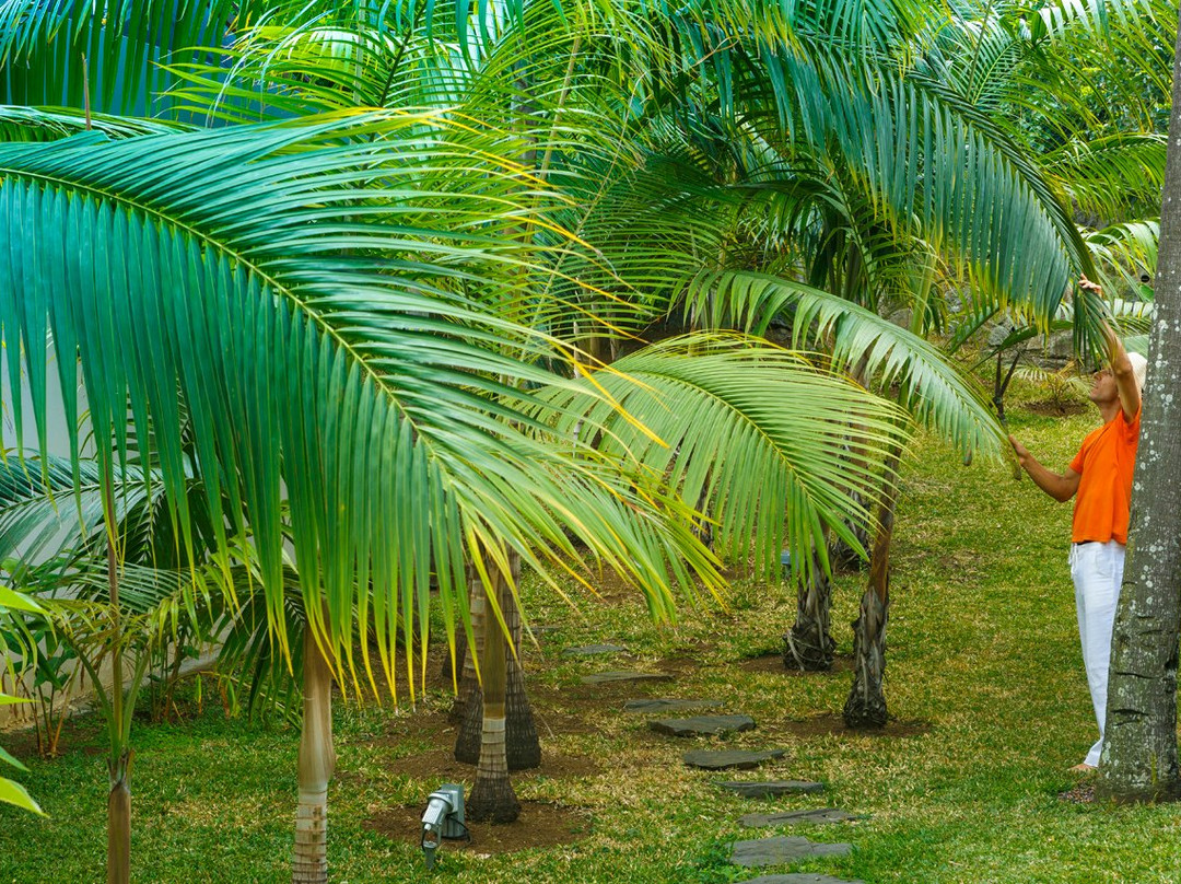 L'Echappee Belle主图