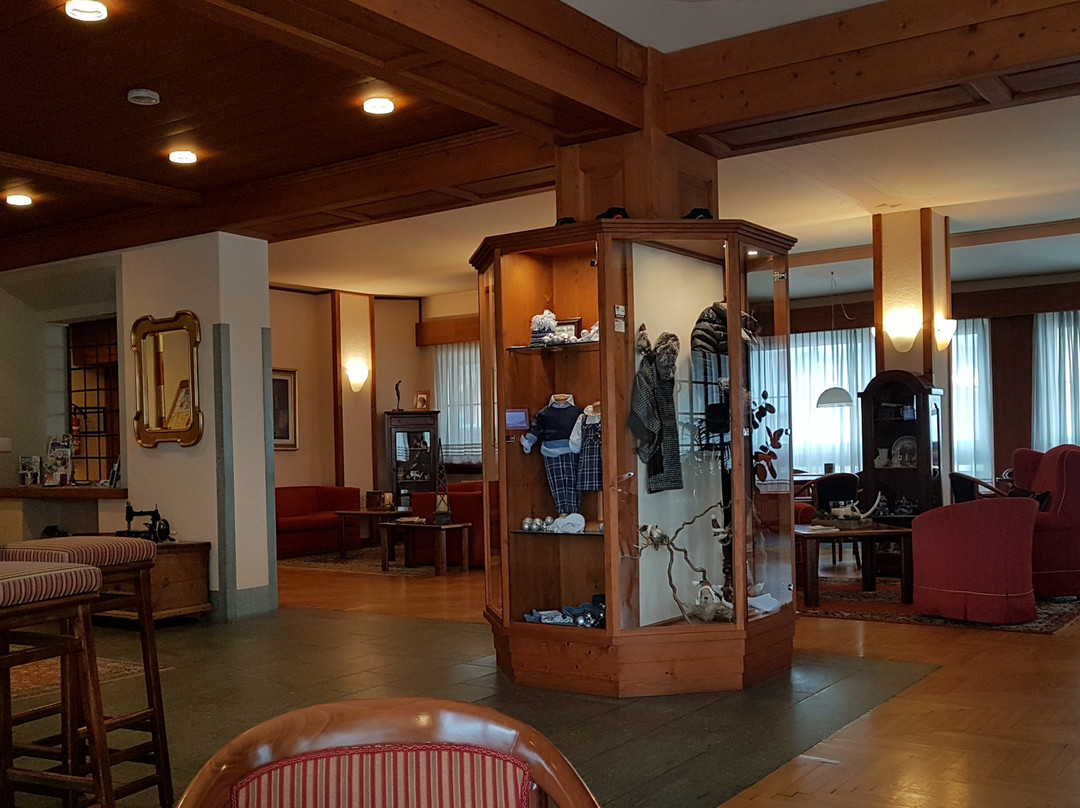 Hotel Larice Bianco主图