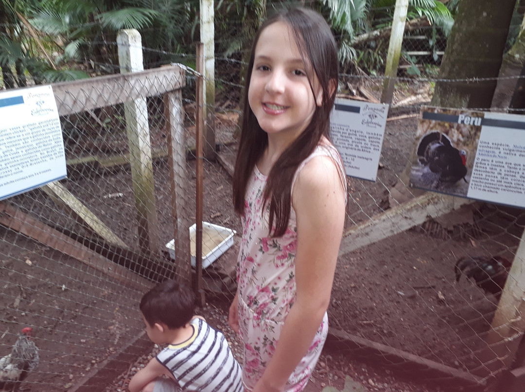 Pousada Edelweiss主图