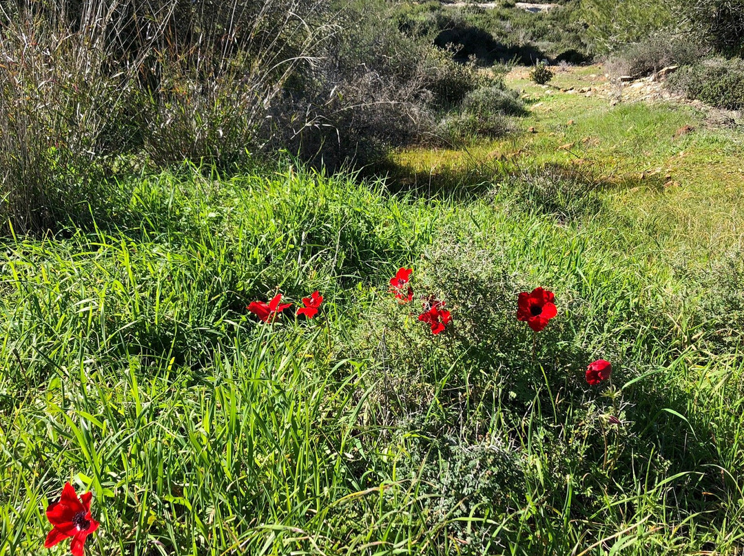Sataf Nature Trail-耶路撒冷必去景点