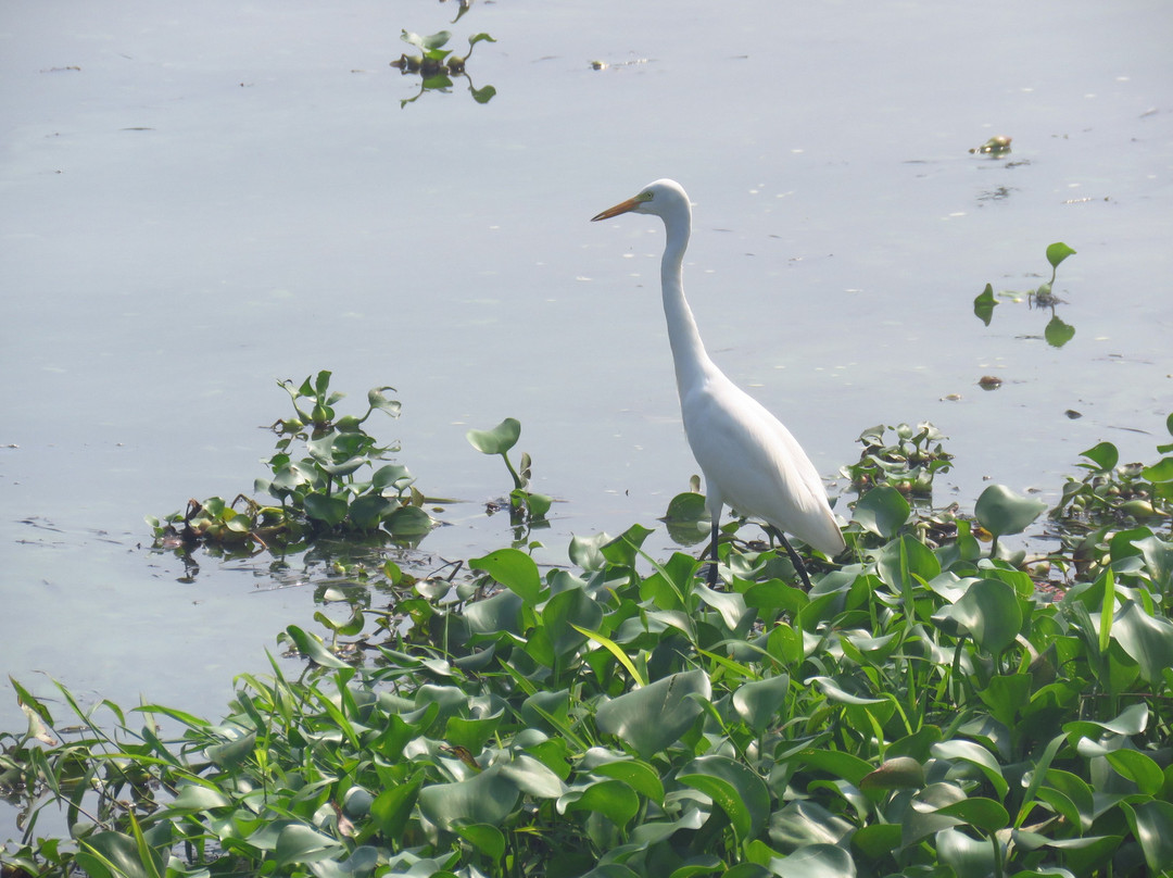 Cosy Lake Villa主图