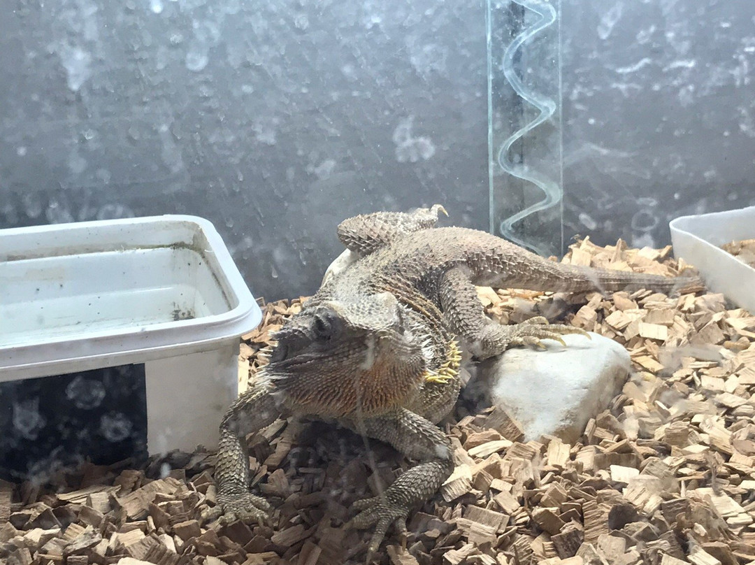 Aquarium-Reptile House-埃泽萨必去景点