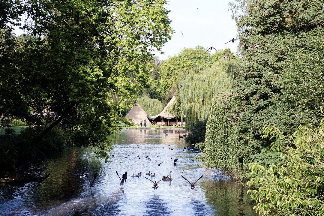 Busbridge Lakes景点图片