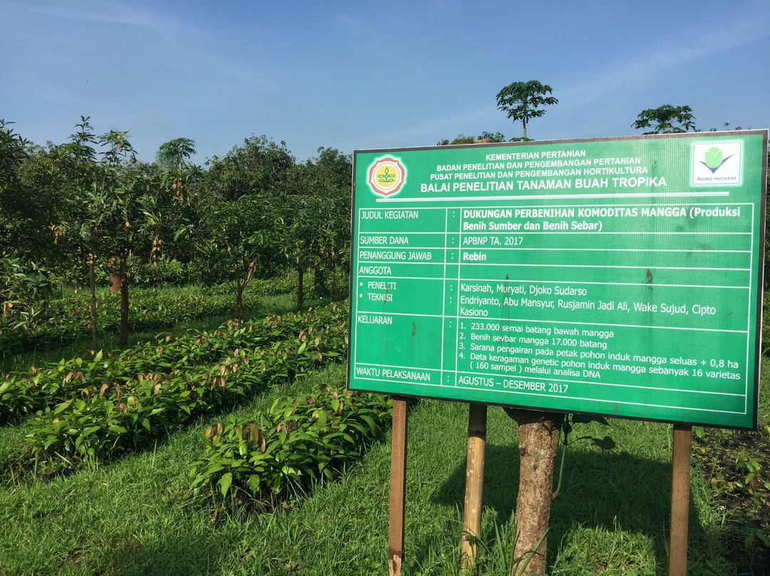 Kebun Percobaan Cukurgondang-巴苏鲁安必去景点