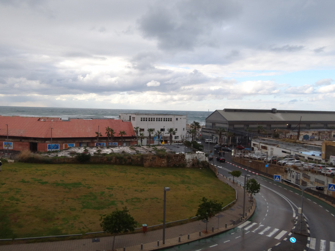 The Israeli Childhood Museum-雅法必去景点