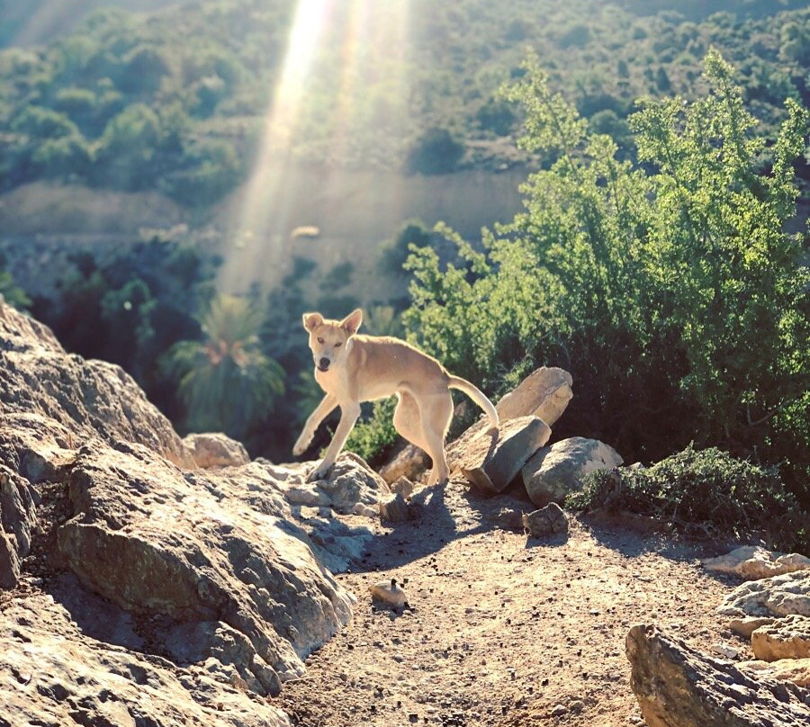 Tawada Hiking-奥瑞尔必去景点