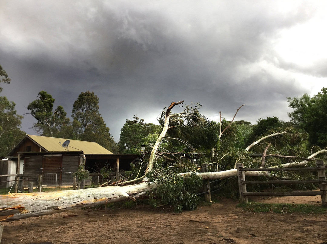 Megalong Valley Farm-Megalong Valley必去景点