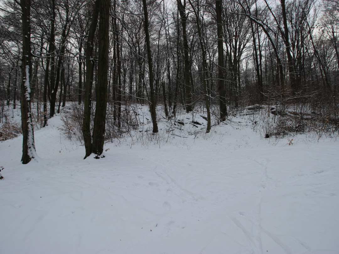 Bielany-Tyniec Landscape Park-克拉科夫必去景点