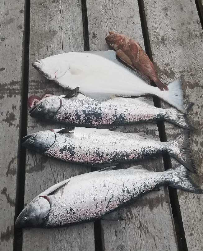 Wild Northern Adventures-Stewart必去景点