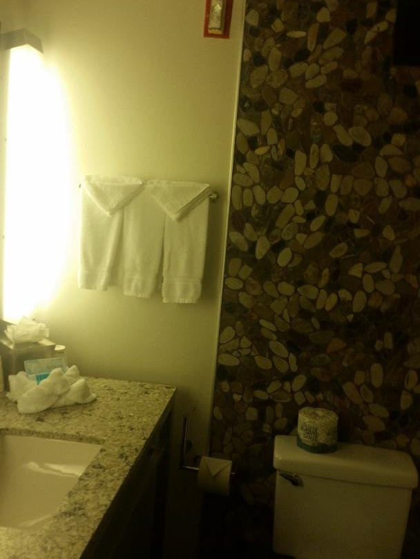 Hilton Garden Inn Baltimore/owings Mills主图