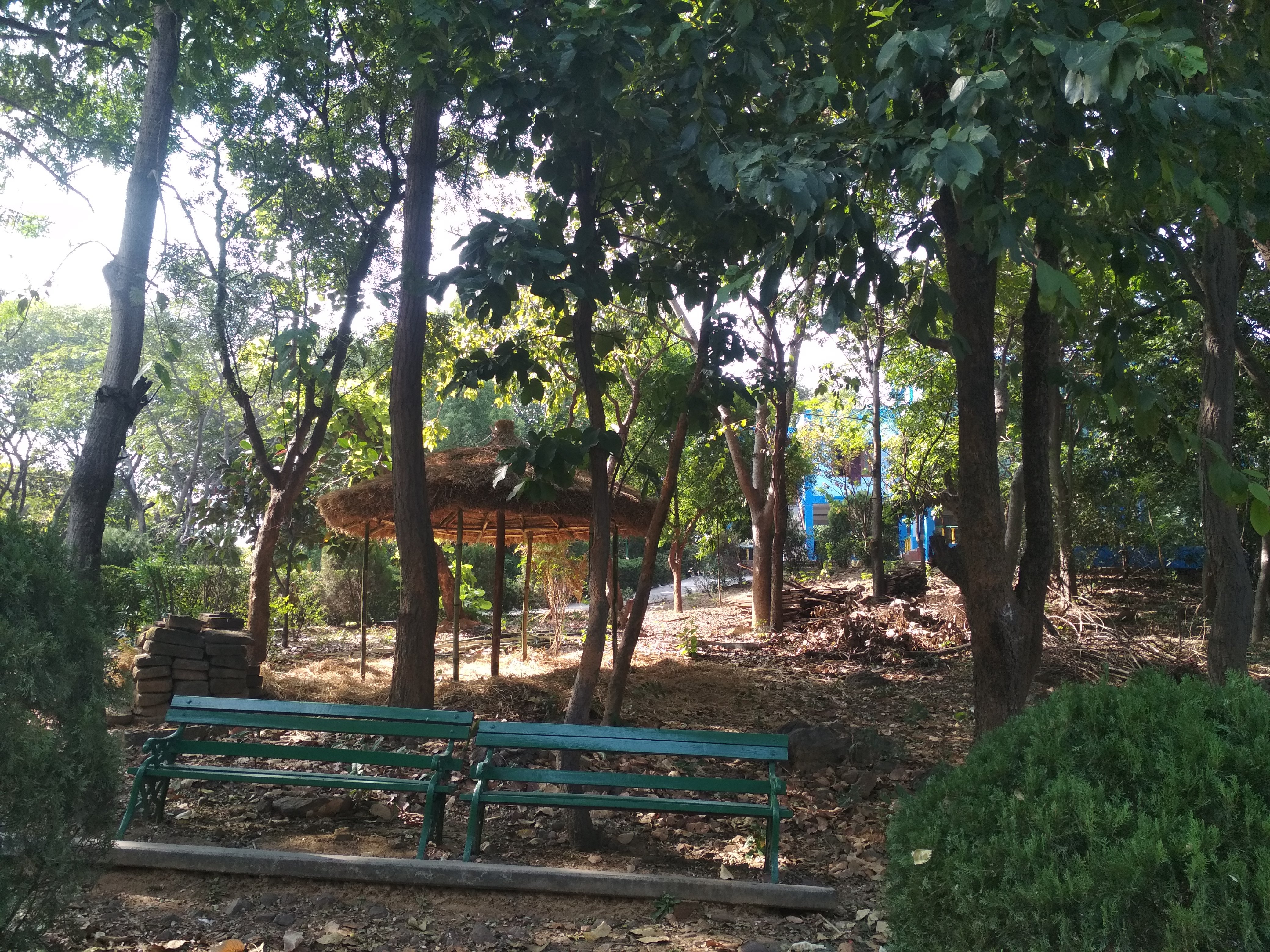 WBFDC Nature Resort - Garhpanchkot-浴室