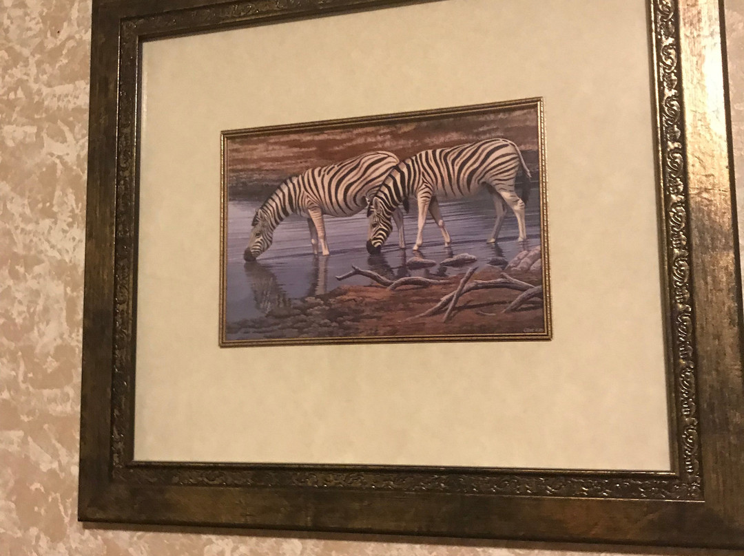 Safari Inn Motel主图