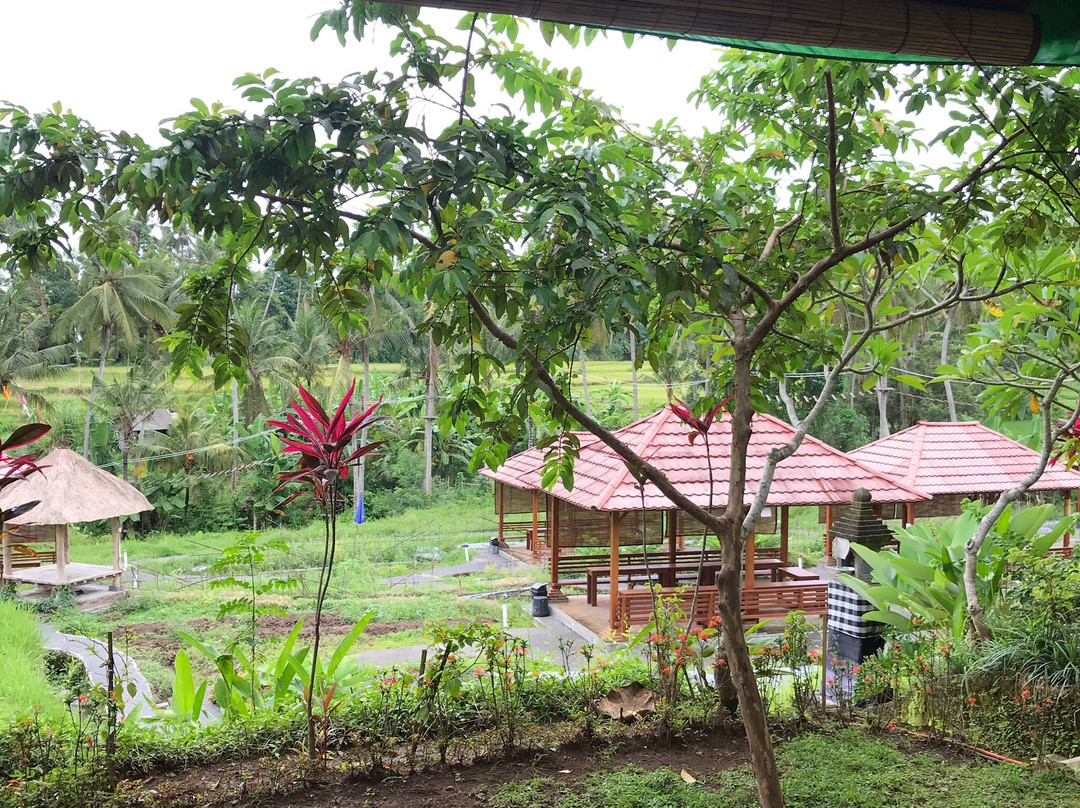 Kampung Kopi Kemenuh景点图片