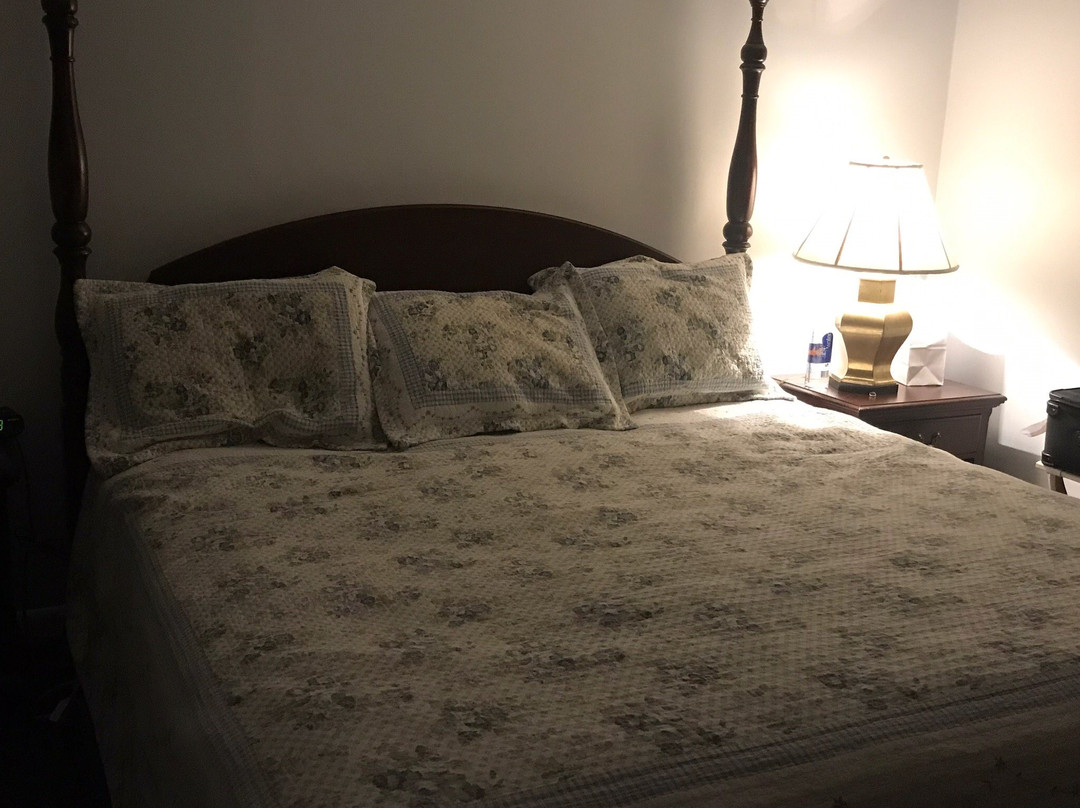 Handkerchief Shoals Inn主图