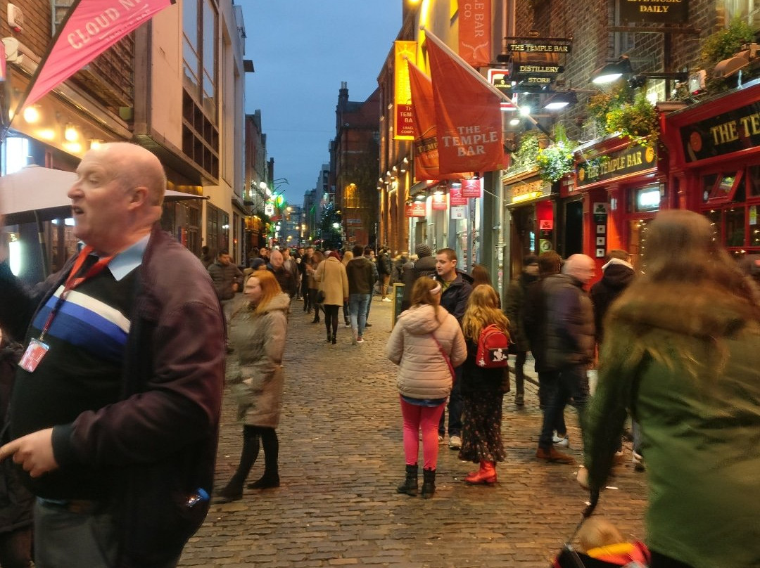 SANDEMANs NEW Europe - Dublin景点图片