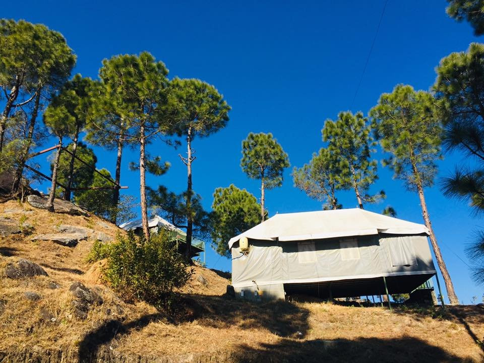 Seed At Queens Meadows, Ranikhet主图