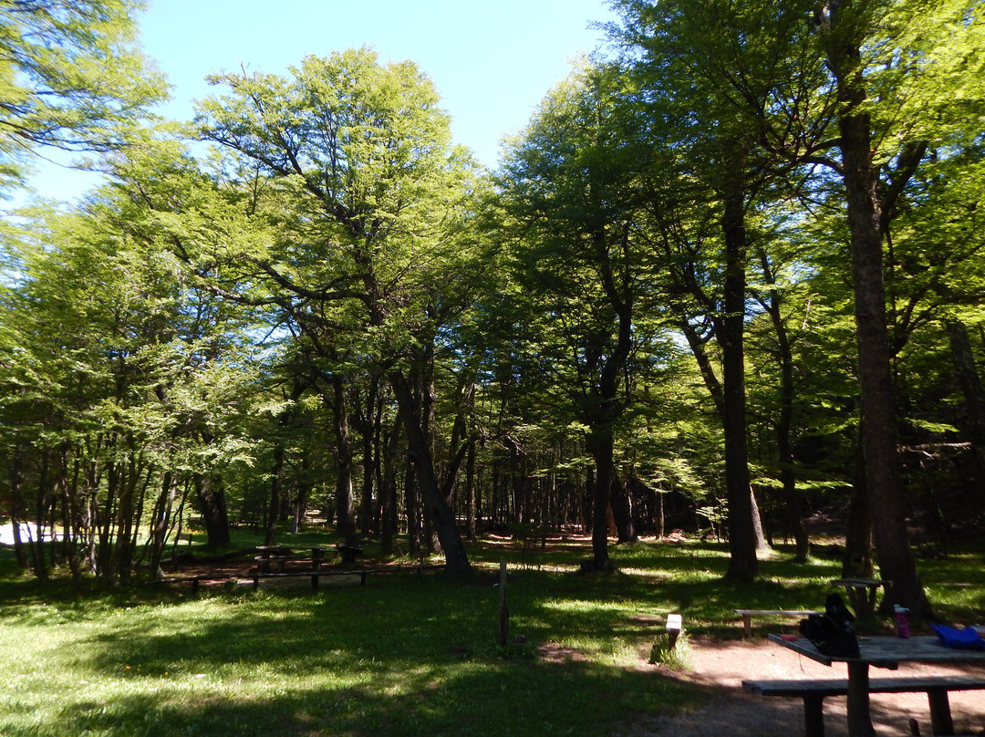 Laguna Chiguay-Puerto Aisen必去景点
