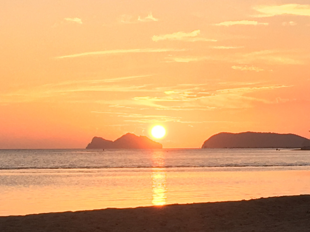 Papillon Bungalows主图