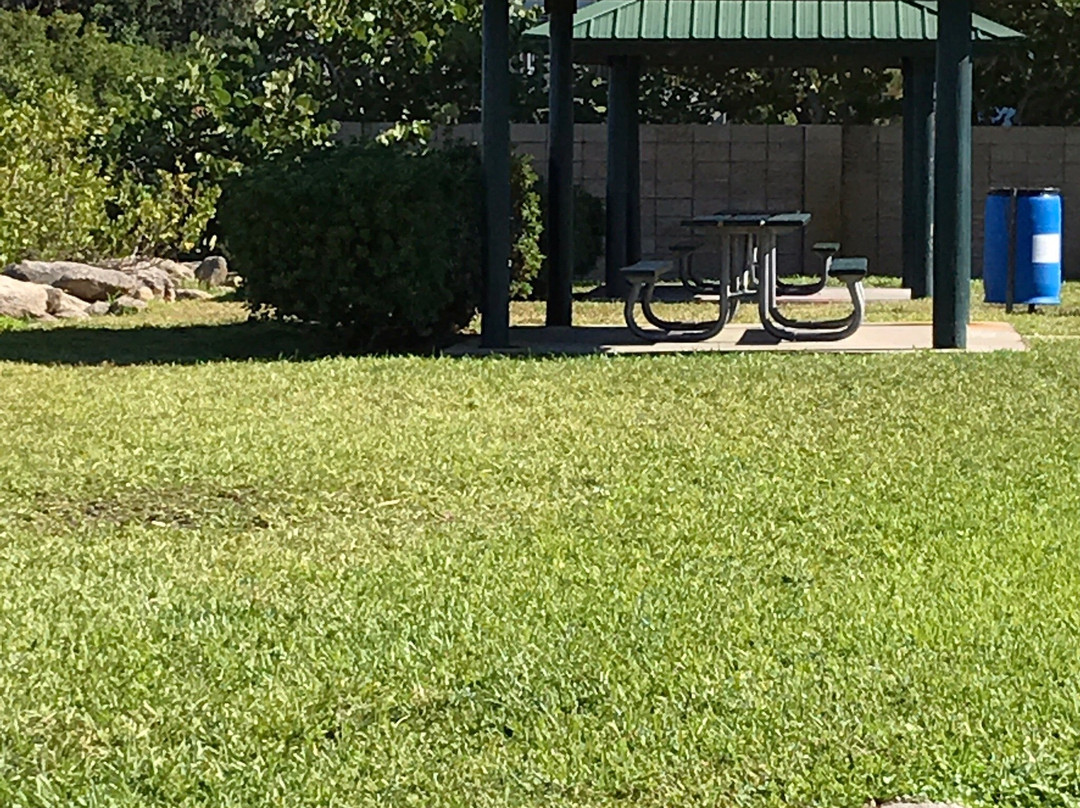 Ballard Park-墨尔本必去景点